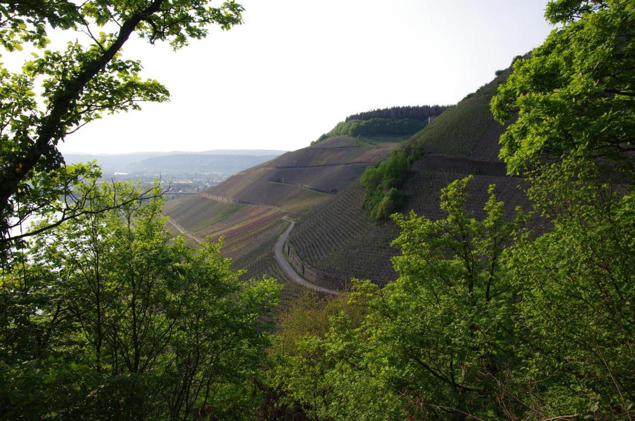 Weingut Weich Hotell Riol Eksteriør bilde