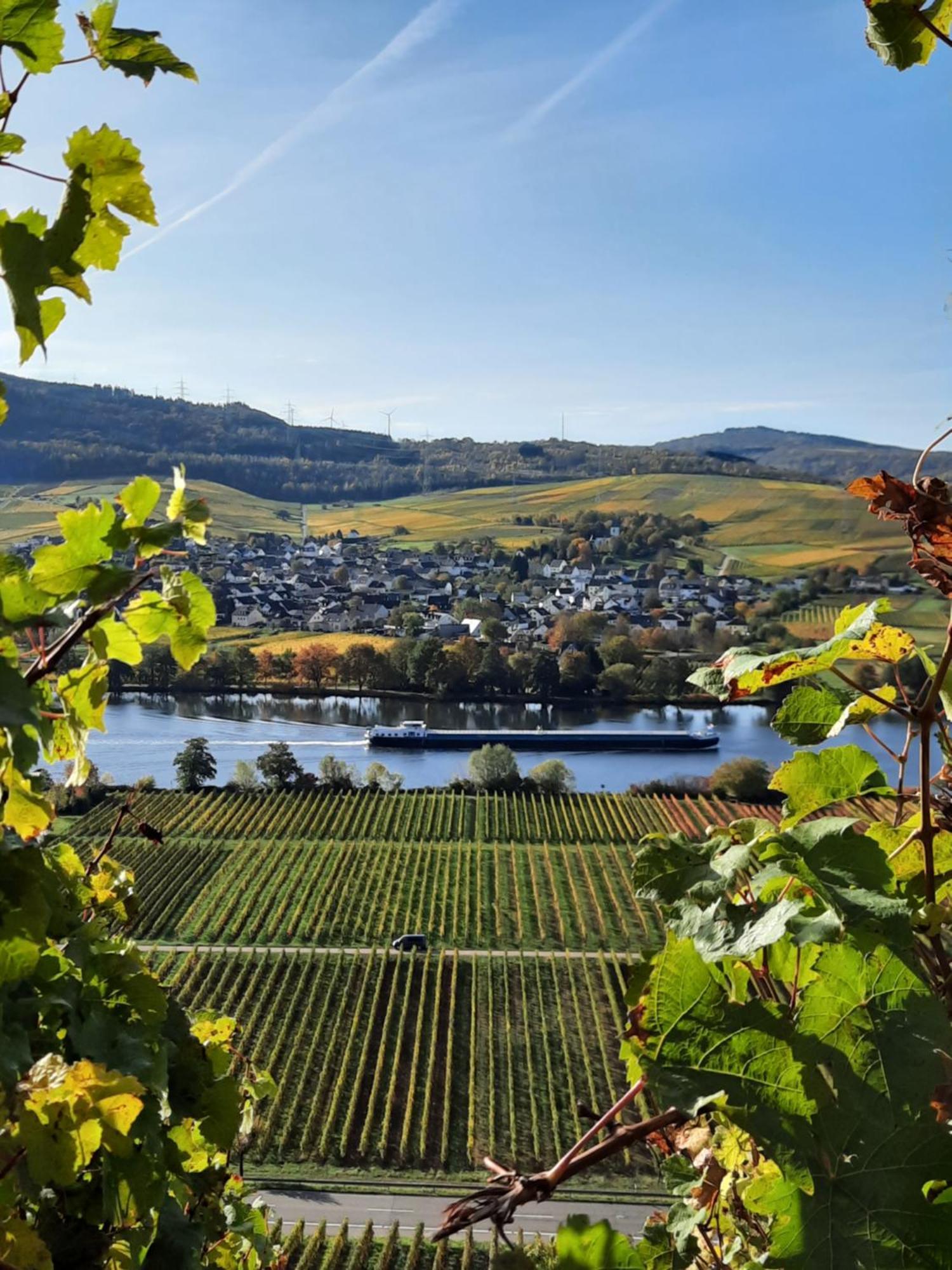 Weingut Weich Hotell Riol Eksteriør bilde